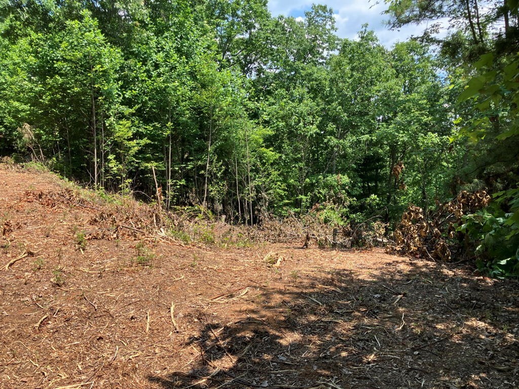 Property Photo: Lot 14 View Ridge Trail NC 28906