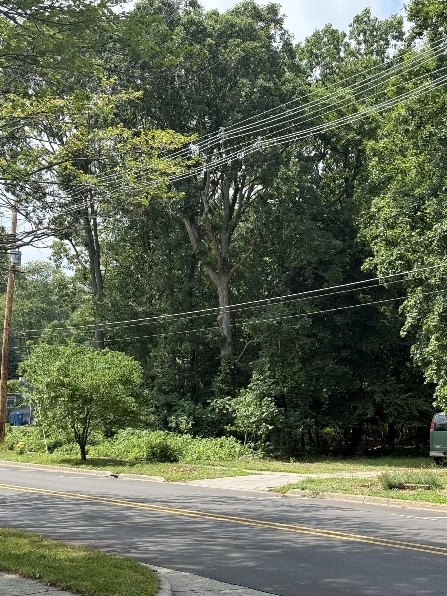 Property Photo:  0 Robbins Road  MI 49417 