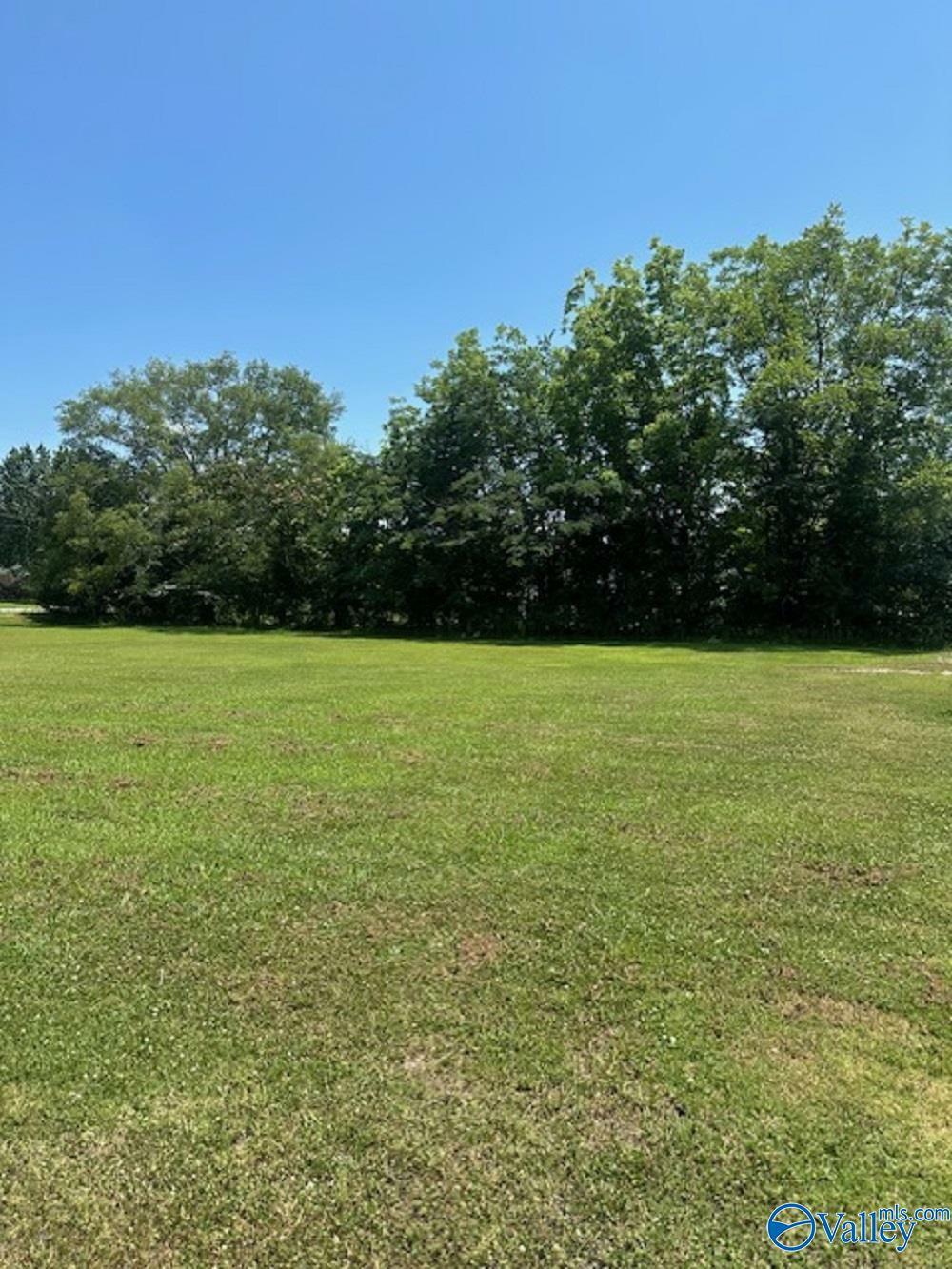 Property Photo: .5 Acres County Road 437 AL 35057