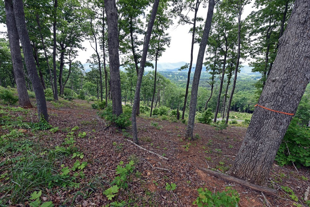 Property Photo:  00 Highland Park Lt 112  GA 30512 