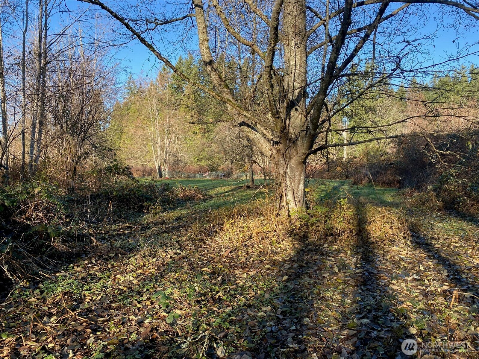 Property Photo: 4255 West Road WA 98230