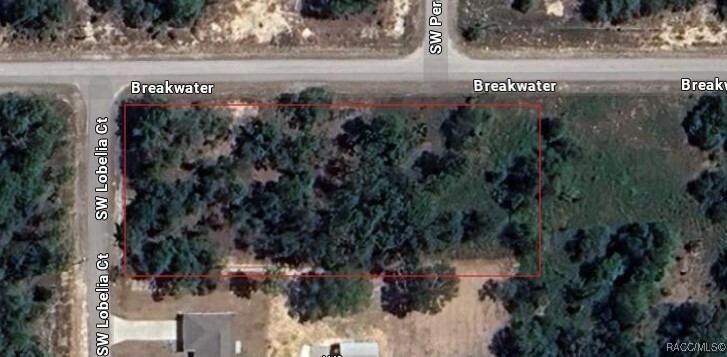 Property Photo: 1804 SW Lobelia Court FL 34431