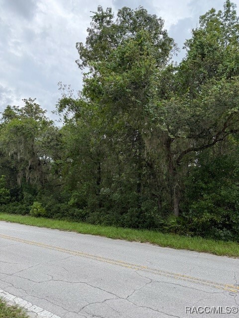 Property Photo:  7259 S Withlapopka Drive  FL 34436 
