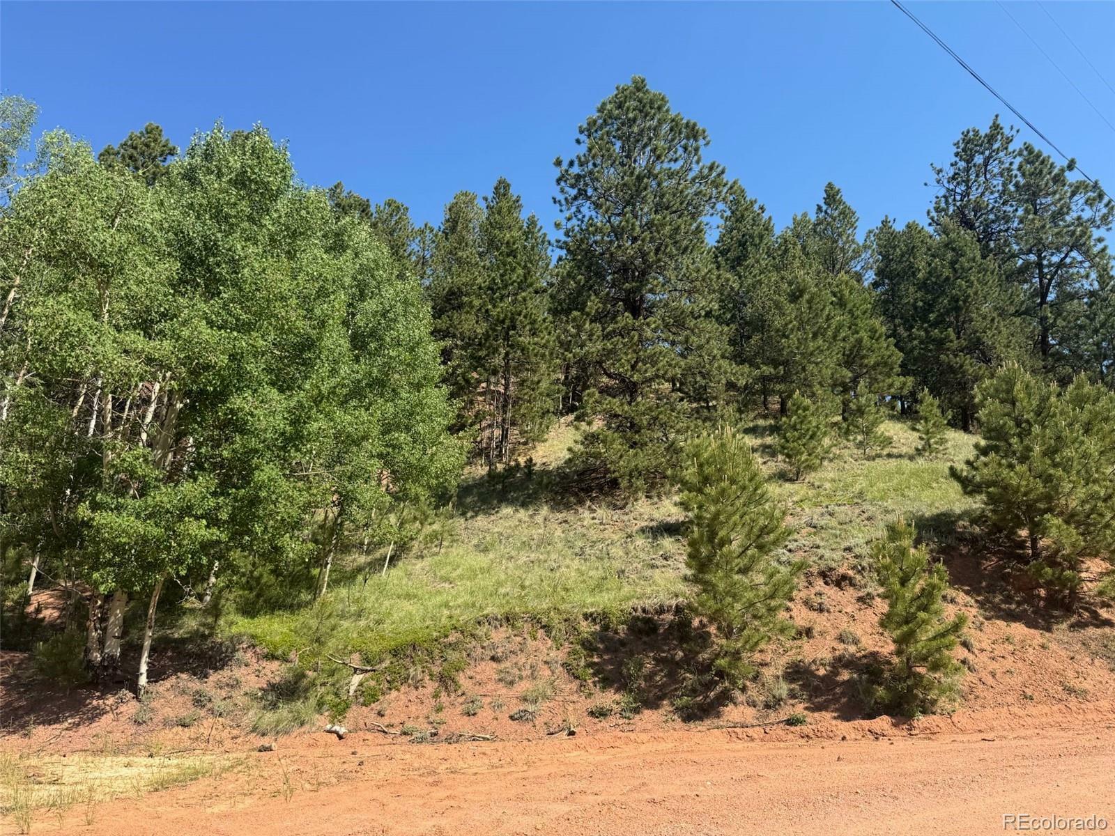 281 Pikes Peak Drive  Divide CO 80814 photo