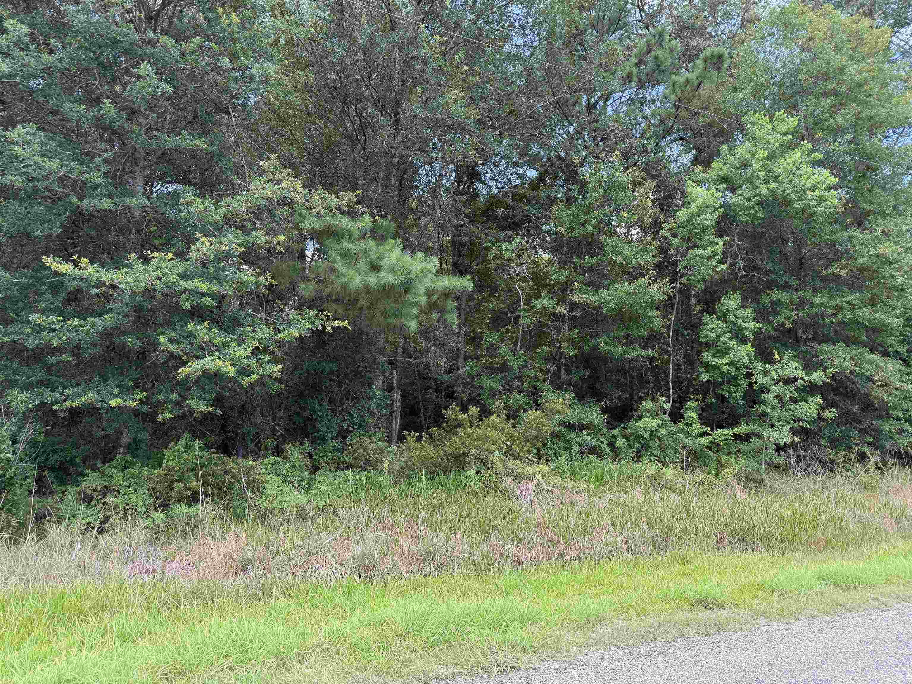 Property Photo: 1885 Bobcat Circle TX 77630