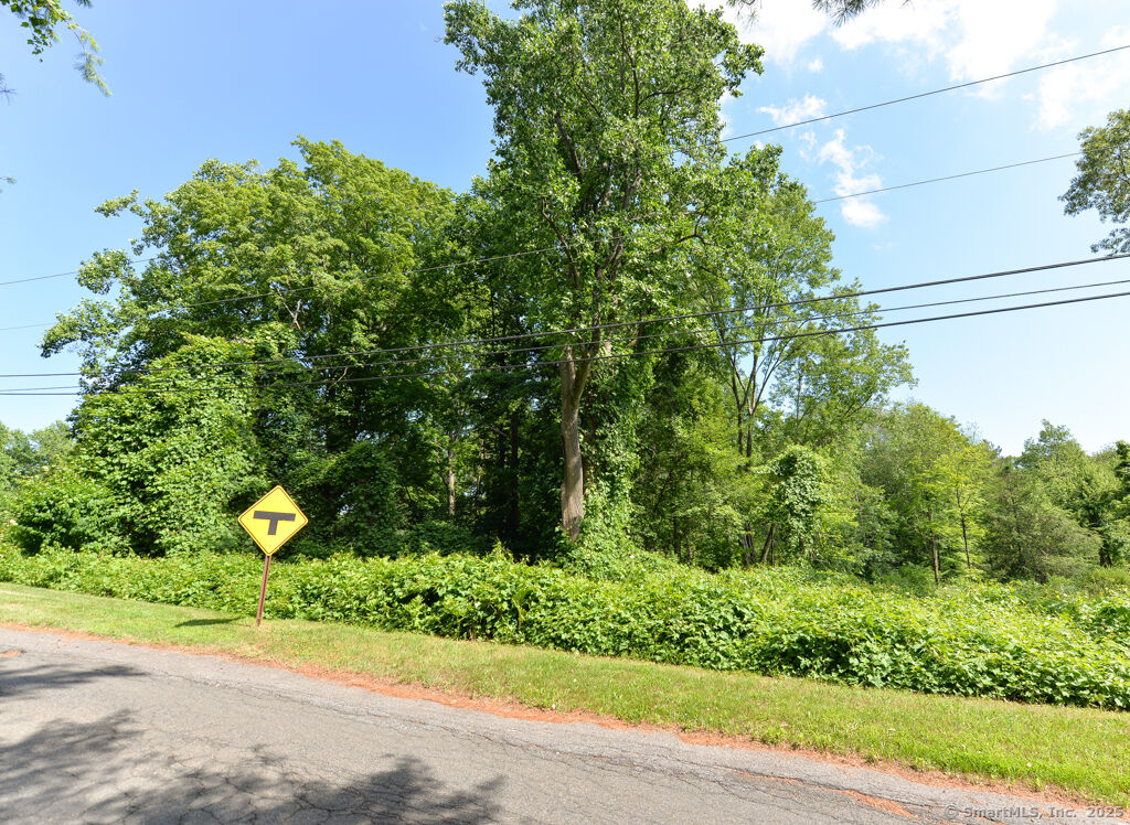 Property Photo:  Lot 64 Highpoint Road  CT 06798 