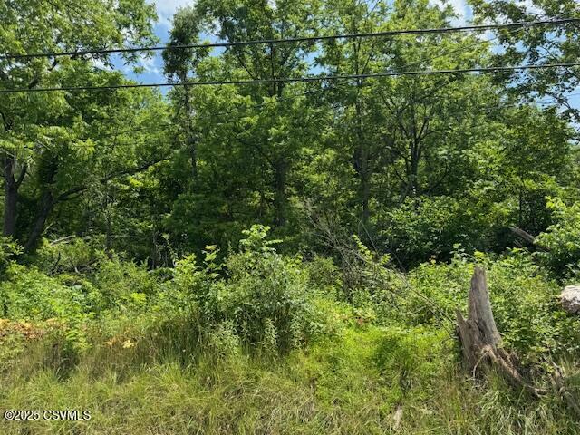 Property Photo:  387 Neitz Valley Road  PA 17870 