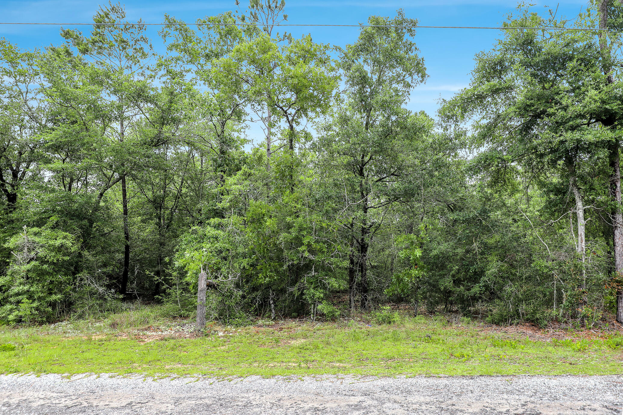 Property Photo: Lot 15 E Michaelangelo Road FL 32433