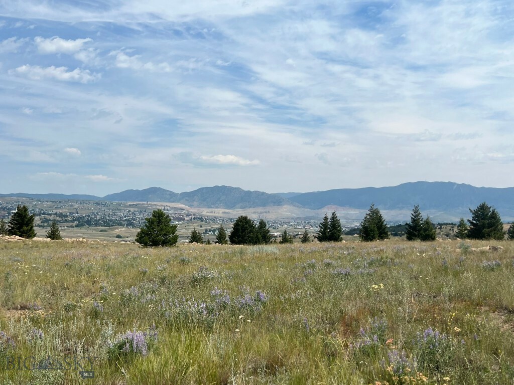 Property Photo: Tbd Hyde Park MT 59701