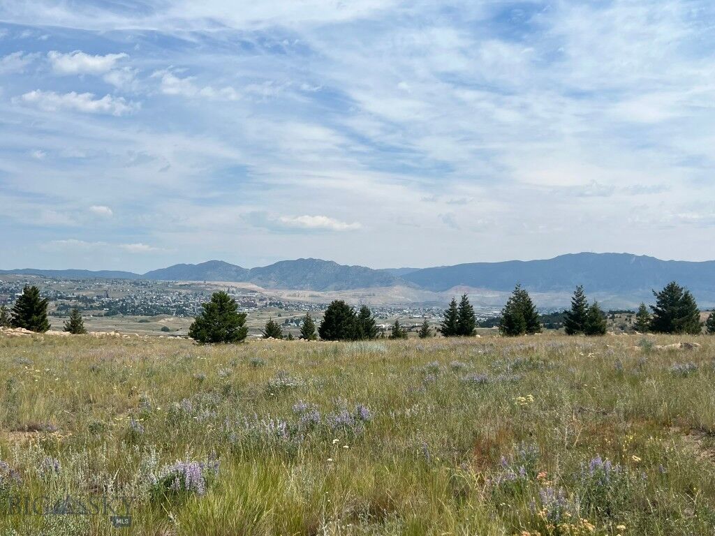 Property Photo:  Tbd Hyde Park  MT 59701 