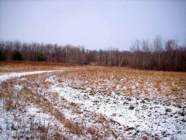 Property Photo: Route 247 Finch Hill PA 18407