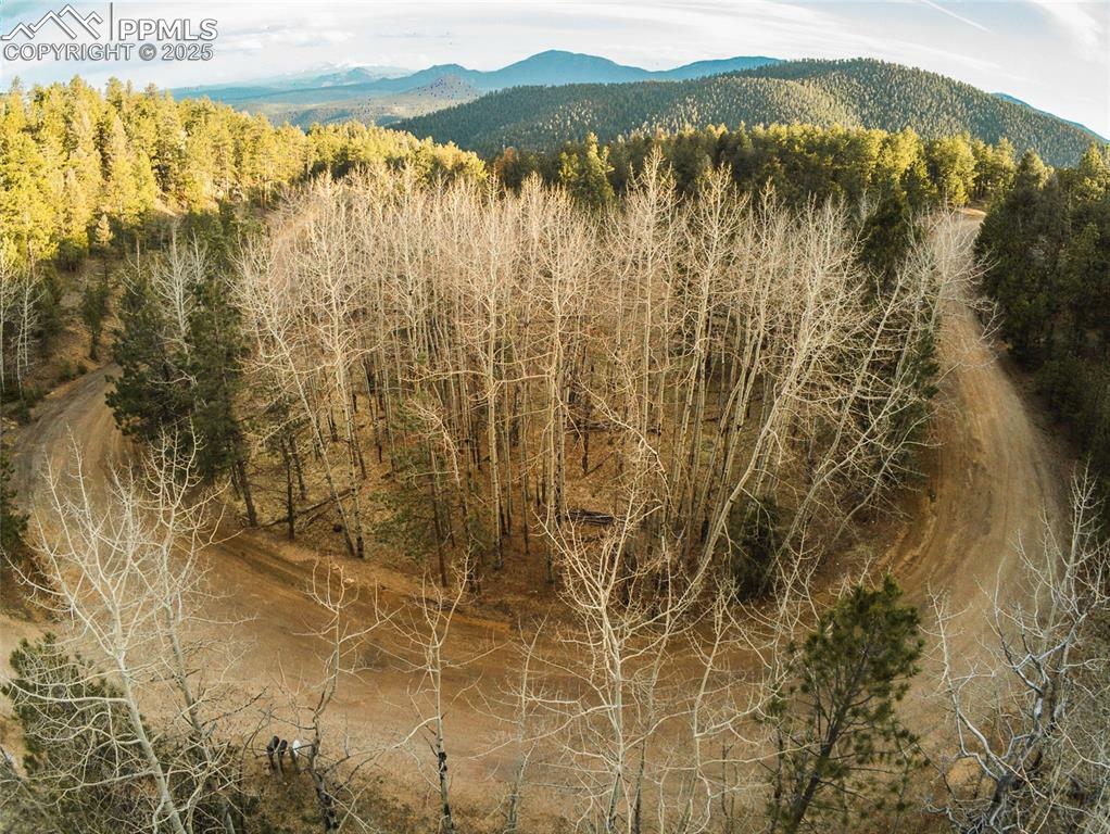 Property Photo:  13305 S Resort Drive  CO 80433 