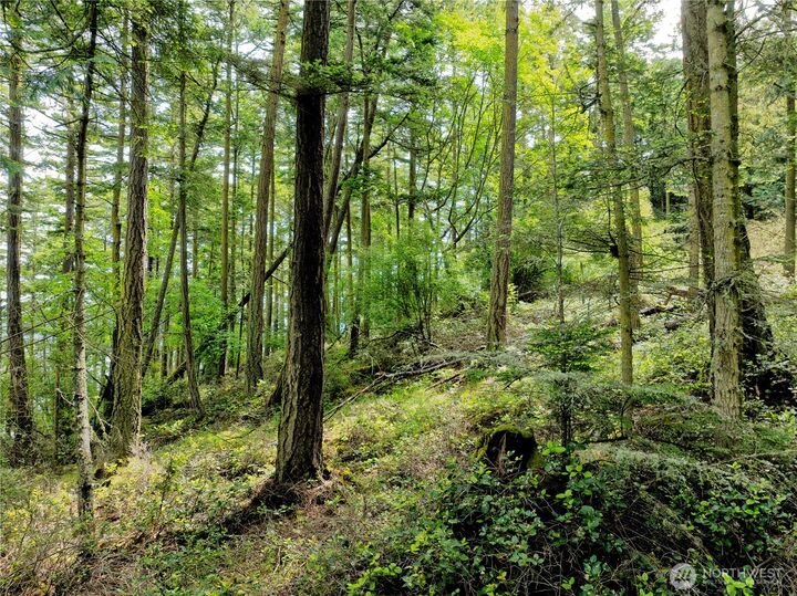 Property Photo: 0 Lot 7 Pass View Road WA 98221