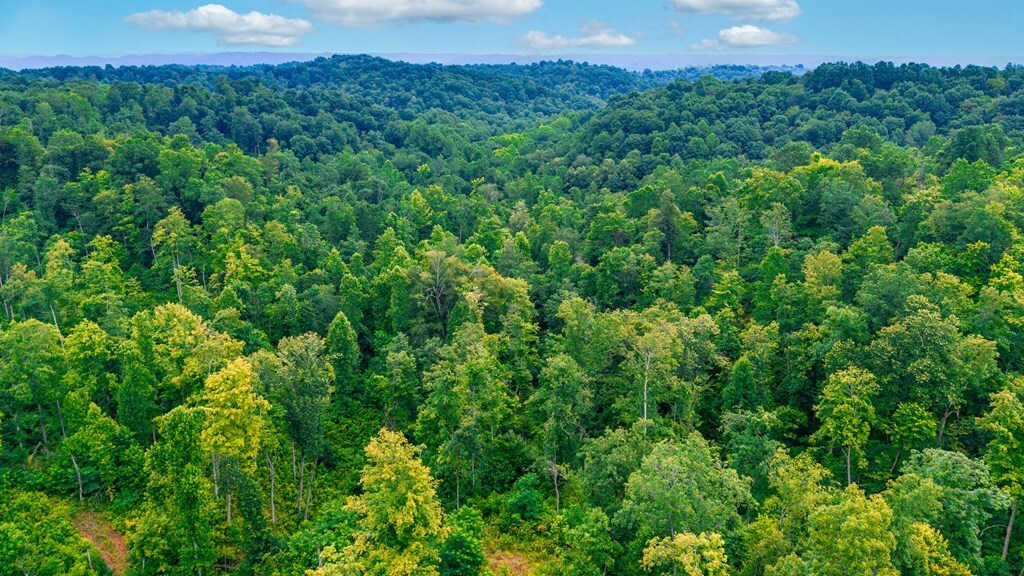 Property Photo: 0 Brumfield Road OH 45623