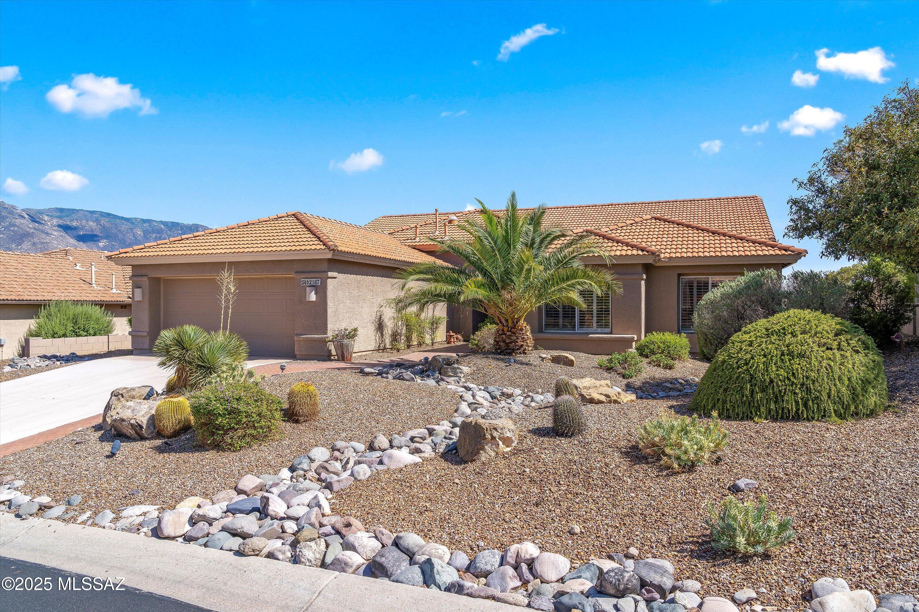 62187 E Amberwood Drive  Saddlebrooke AZ 85739 photo
