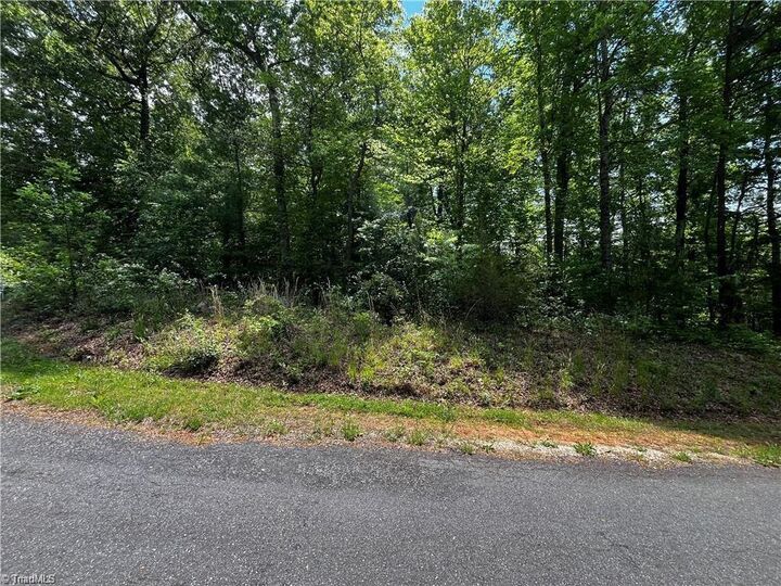 Property Photo: 0000 Virgilina Circle VA 24317