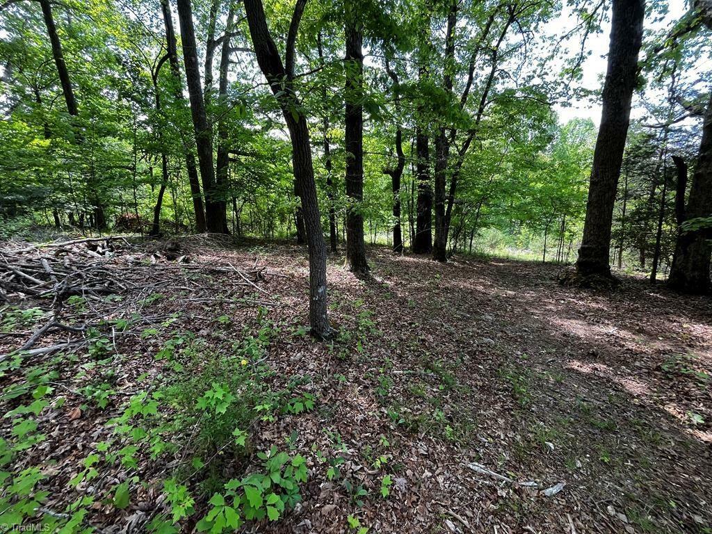 Property Photo: 000 Virgilina Circle VA 24317