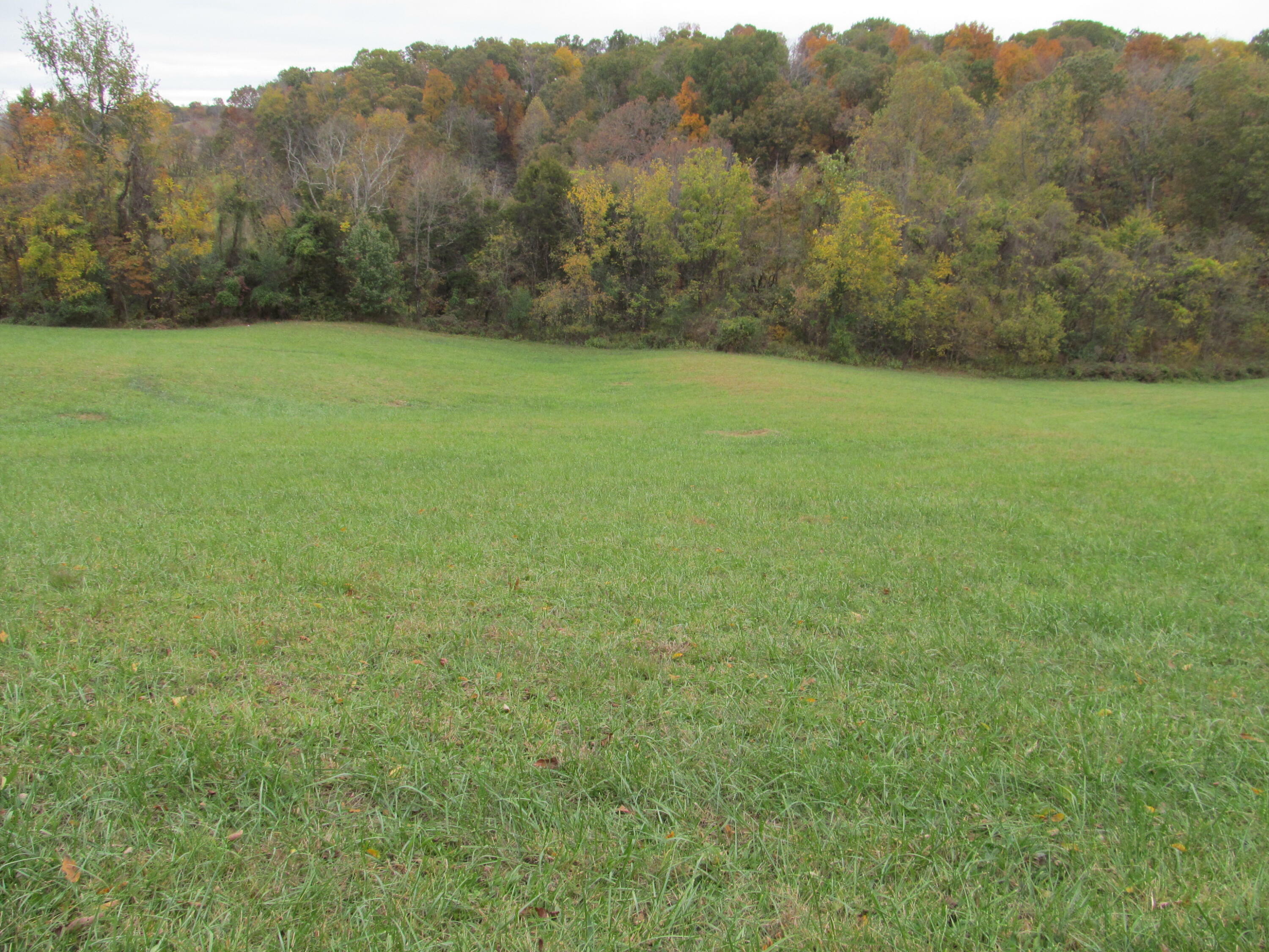 Property Photo: 793 S Pickens Bridge Road TN 37615