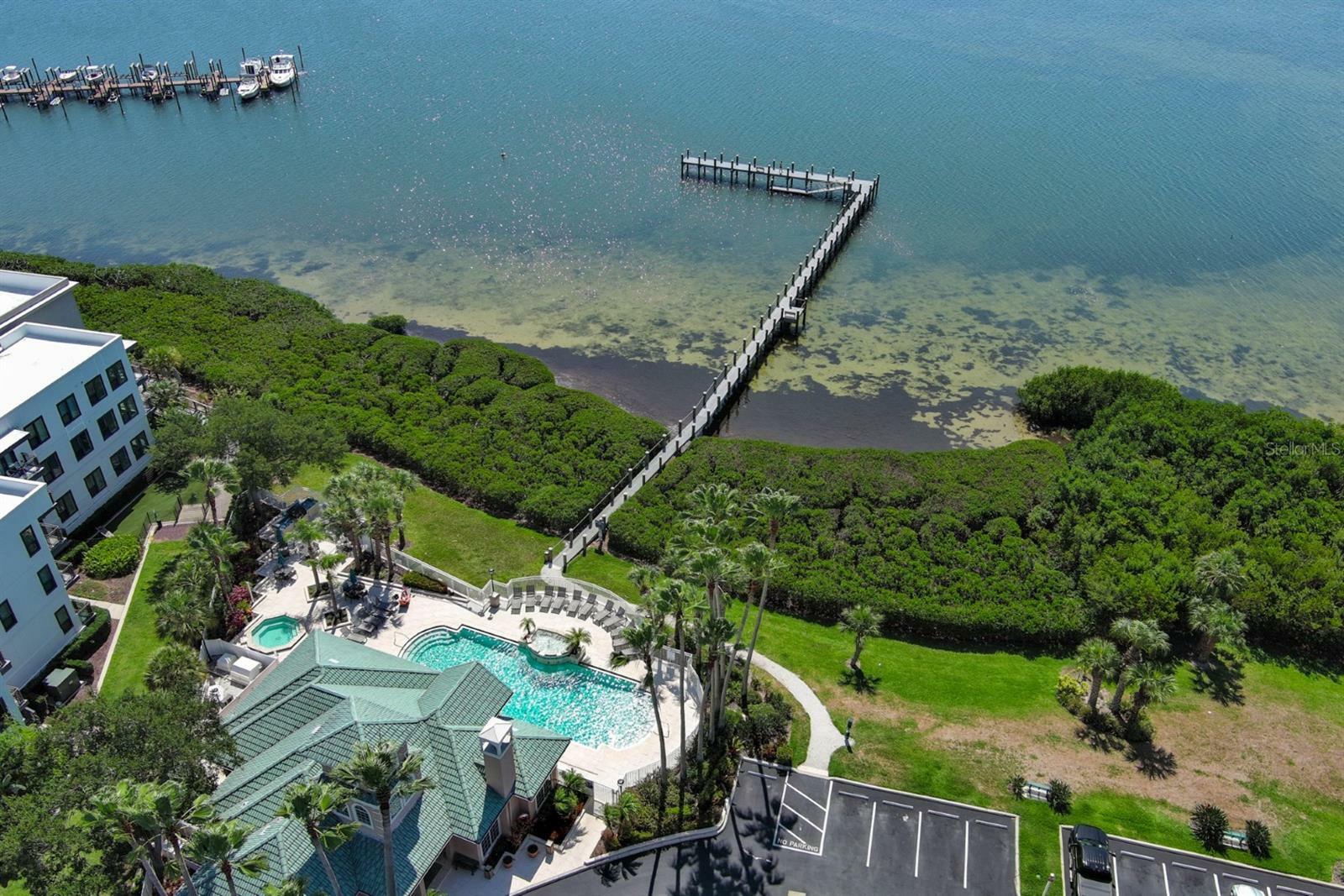 Property Photo:  2201 Bay Club Circle  FL 33607 