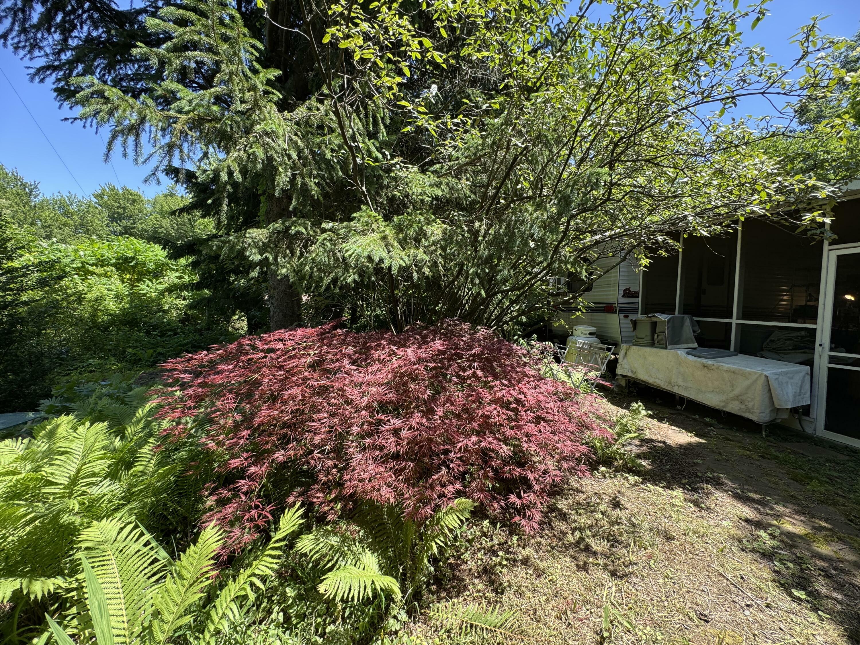 Property Photo: 6473 Blue Star Highway MI 49453