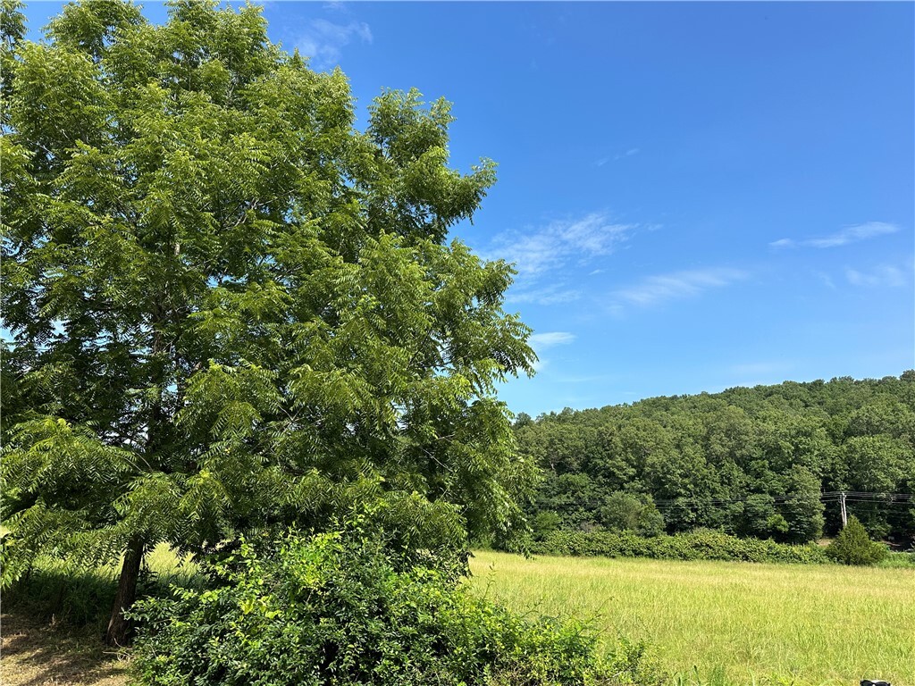 Property Photo:  000 Denton Ferry Road  AR 72626 