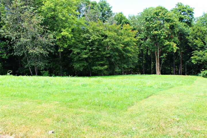 Lot 20 Brock Lane  Glasgow KY 42141 photo