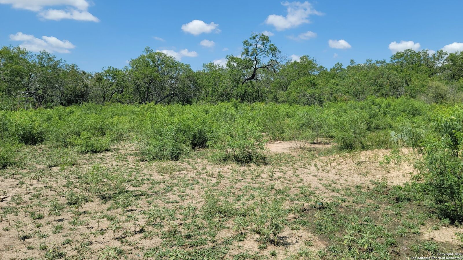 Property Photo:  2142 Blue Creek  TX 78121 