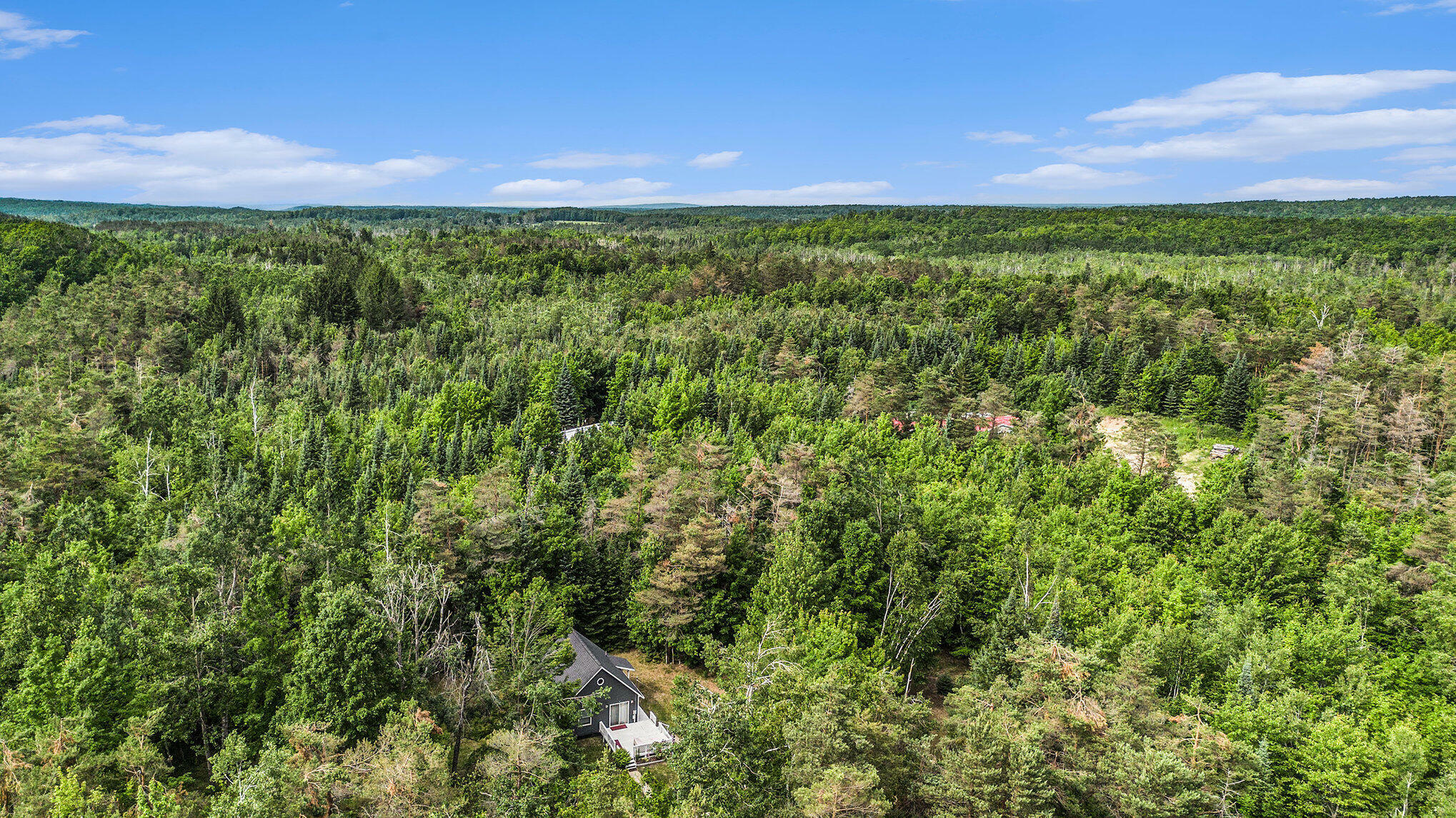 Property Photo: 4234 Shooks Road MI 49799
