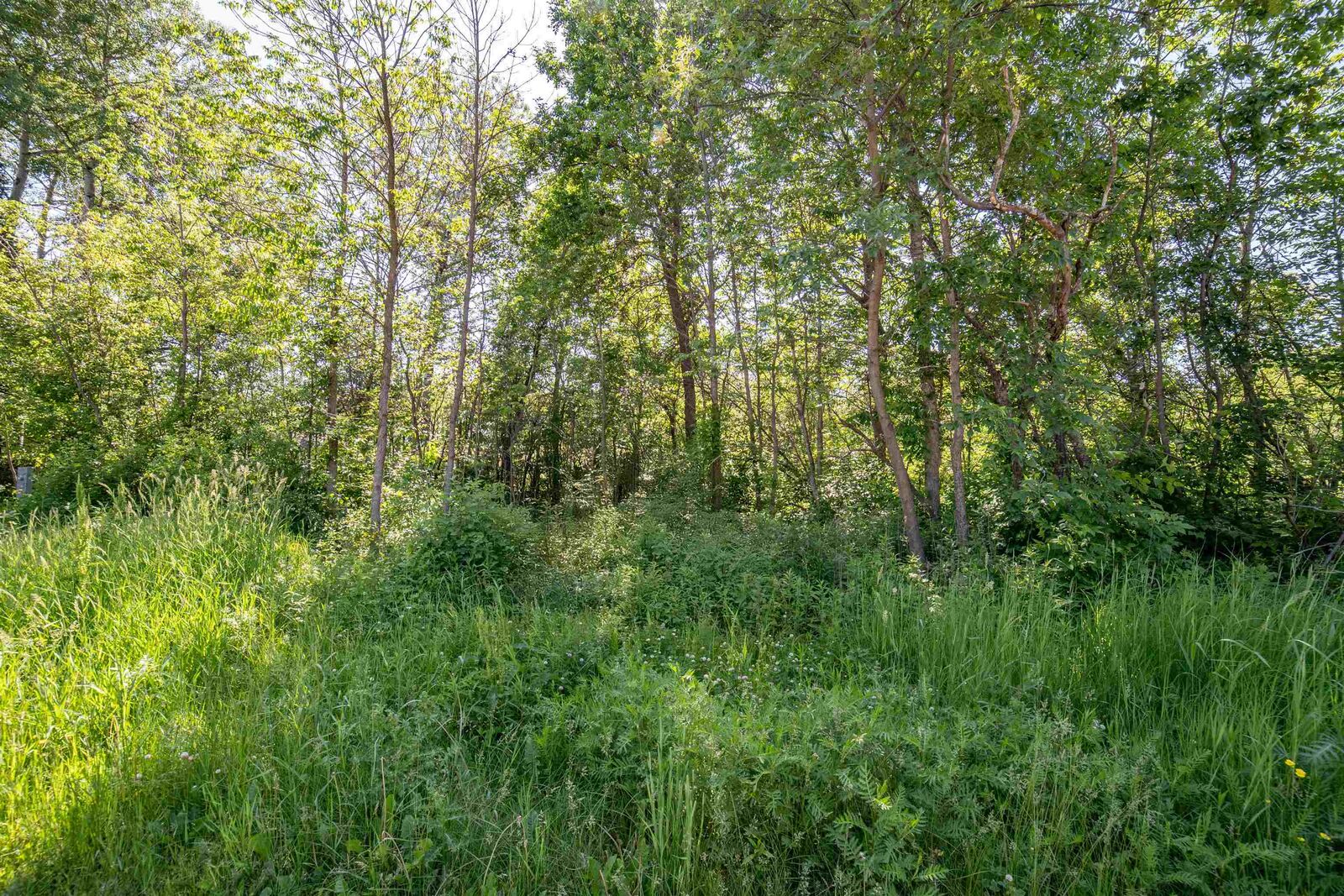 Property Photo:  3817 Stebner Rd  MN 55811 