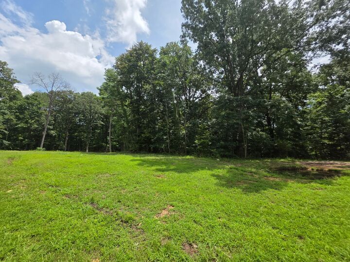 0 Baggett Hollow  Cunningham TN 37052 photo