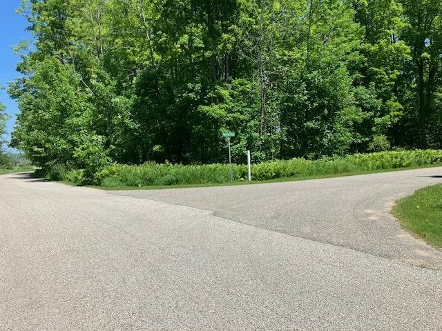Tbd Maple Isle Court Unit 32, 33 &Amp 34  Alanson MI 49706 photo