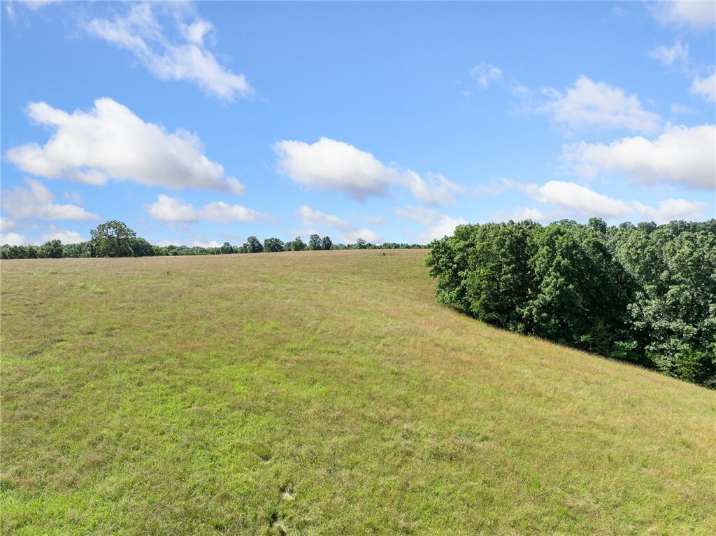 Property Photo:  Payne Road  AR 72601 