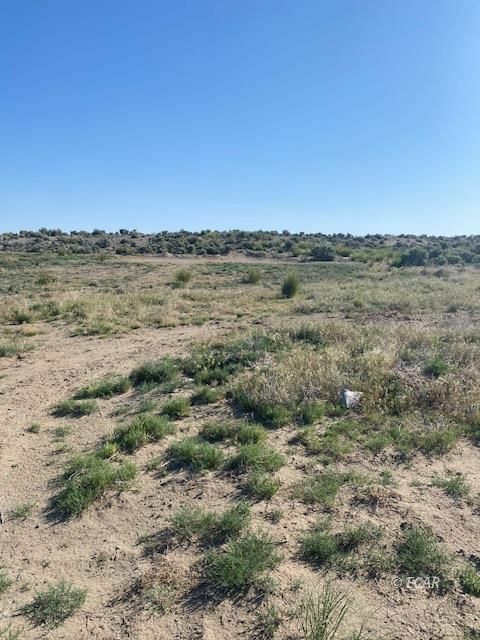 Property Photo: Horsehaven NV 89801