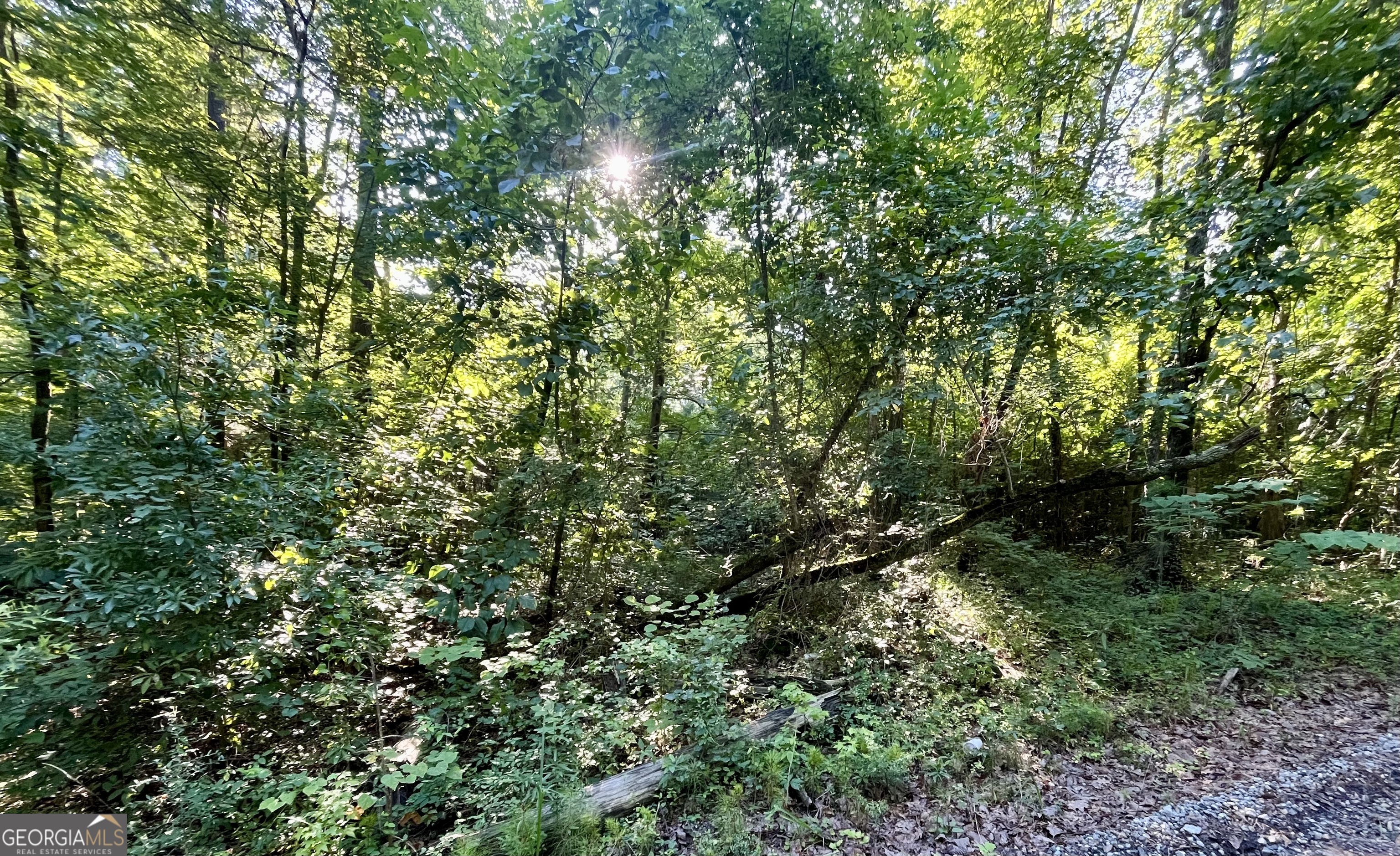 Property Photo: 0 Meadowlark Drive Lot 8 GA 31064