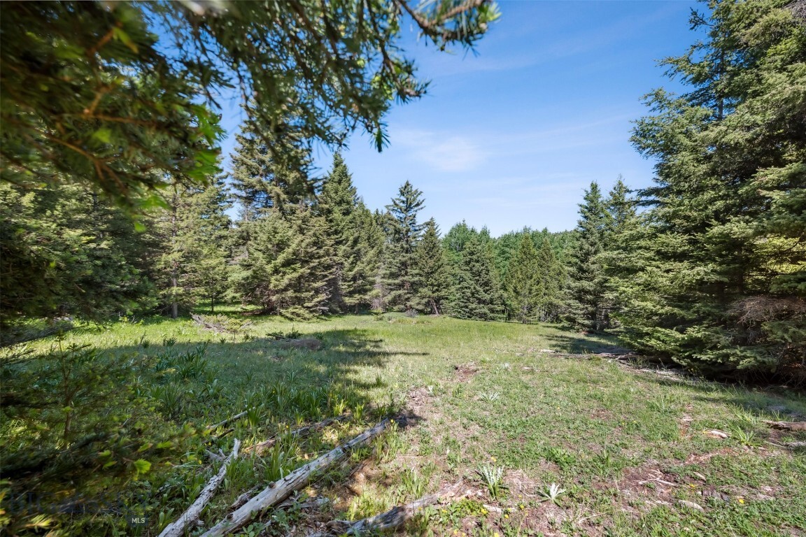 Property Photo: Tbd Smokey Mountain Drive MT 59711
