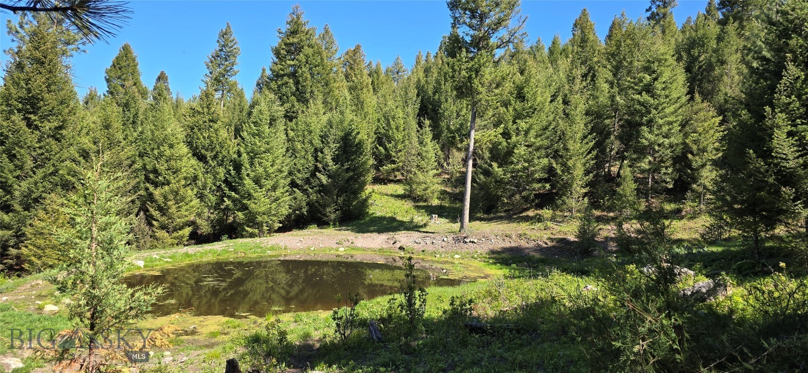 Property Photo:  4 Tract, Bull Elk  MT 59832 