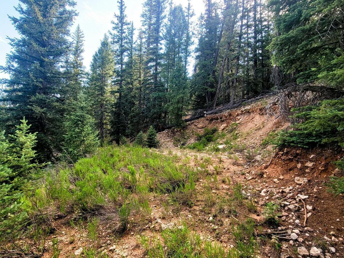 Property Photo: 770 N Skyline View Dr UT 84762