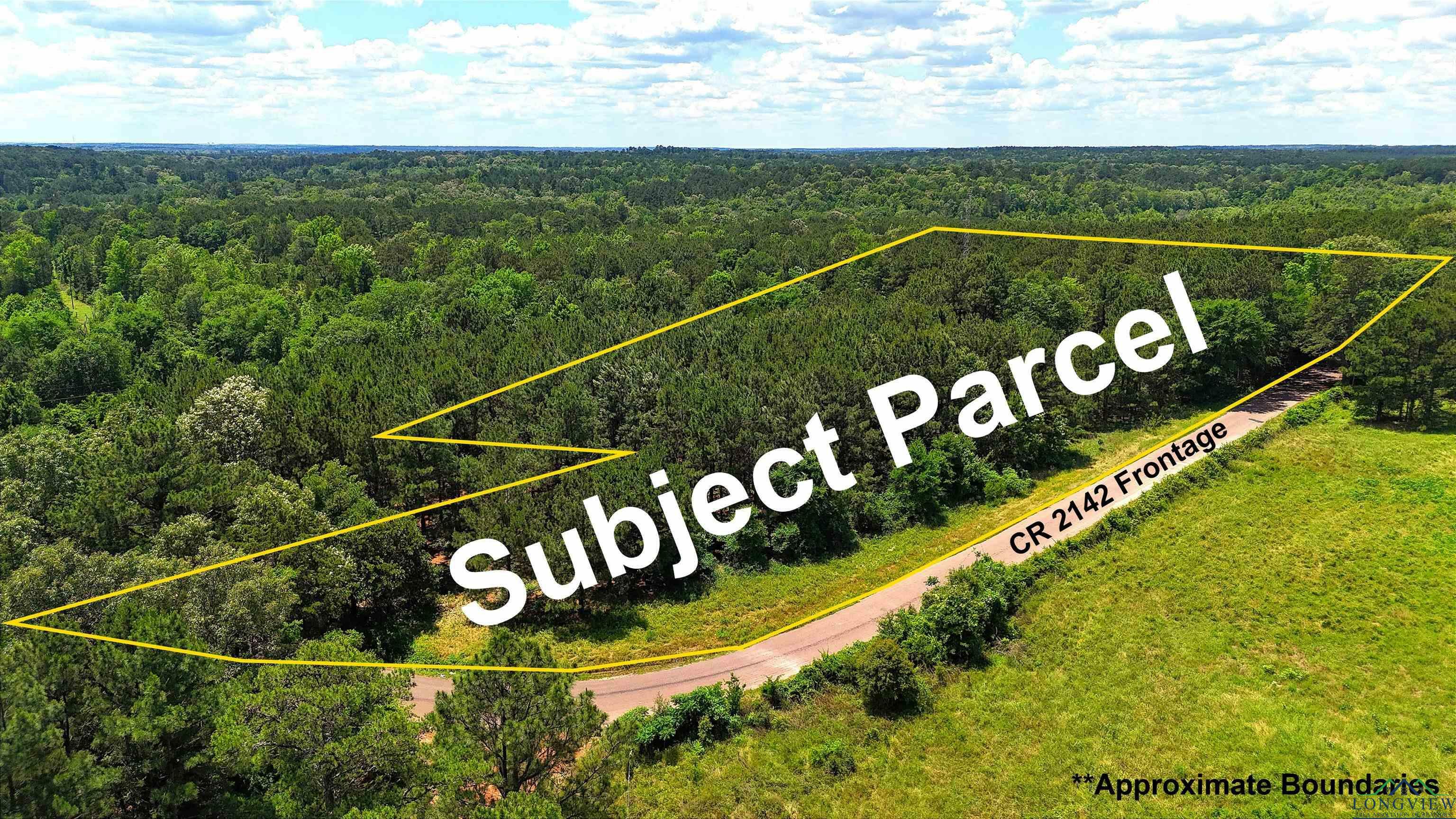 Property Photo: Tbd Cr 2142 TX 75691