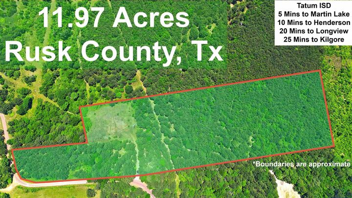 Property Photo: Tbd Cr 2142 TX 75691