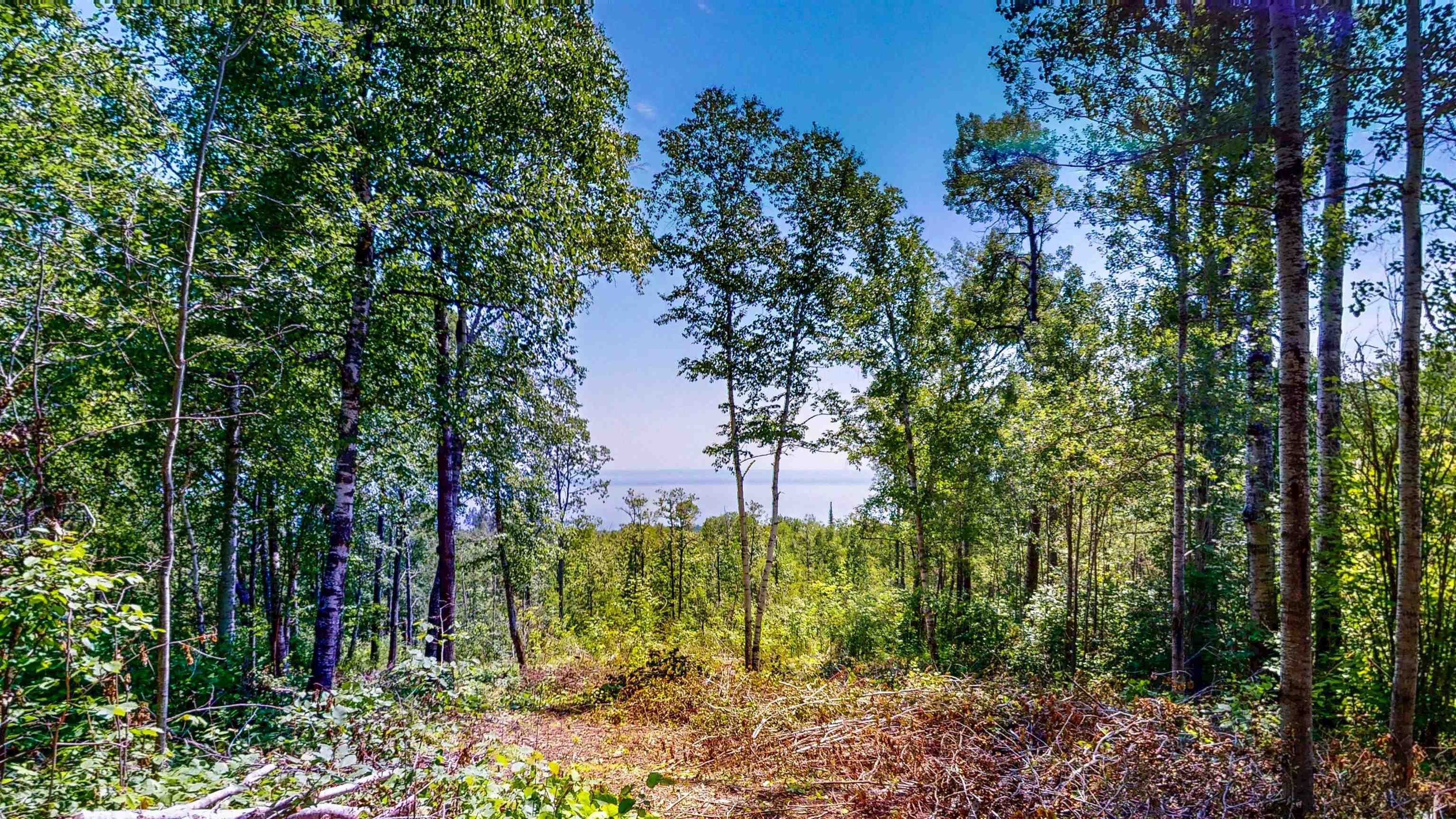 122 County Road 6  Grand Marais MN 55604 photo