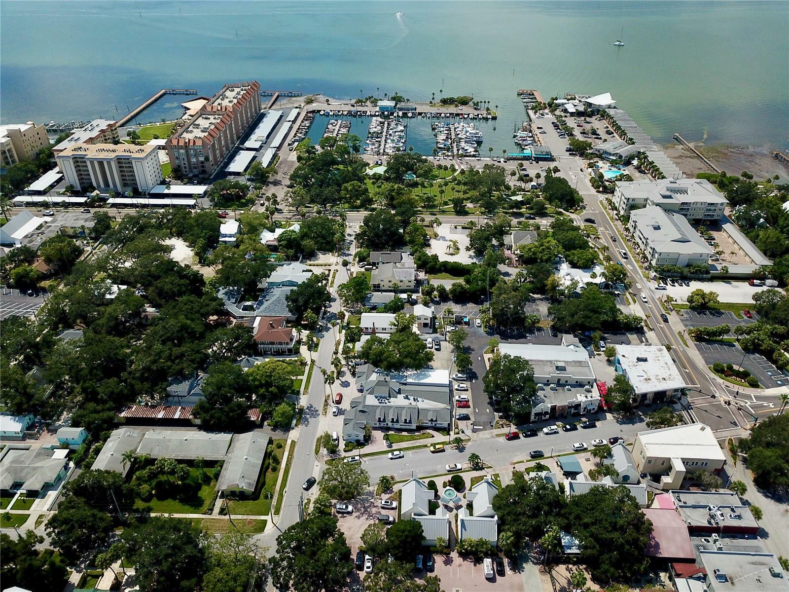 Property Photo: 702 Lyndhurst Street 822 FL 34698