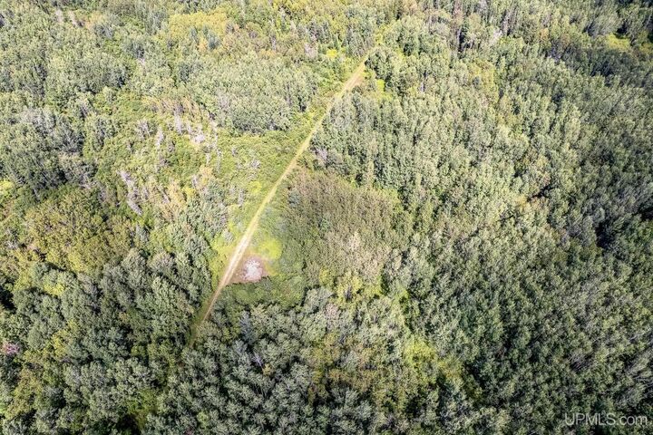 Property Photo:  Tbd Plantation Lane  MI 49880 