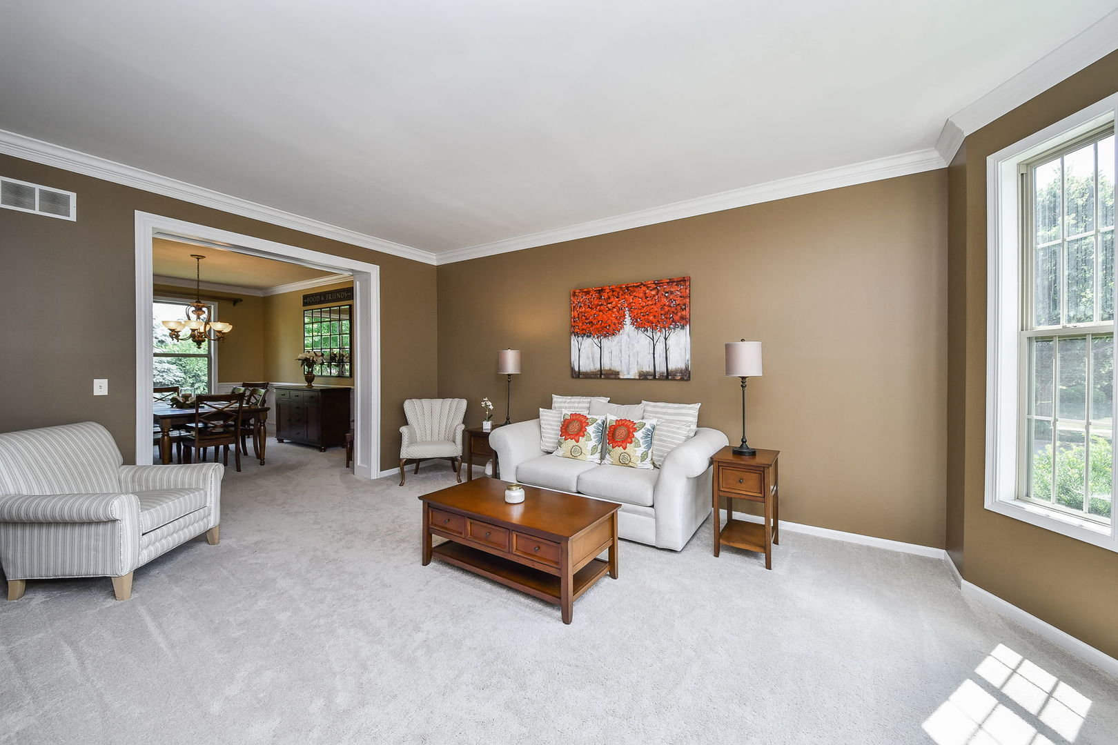 Property Photo:  520 Meadowwood Lane  IL 60543 