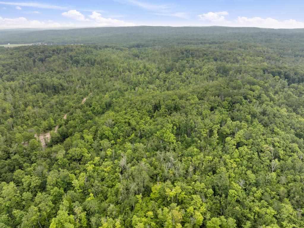 Property Photo: Tbd Wormwood MI 49740
