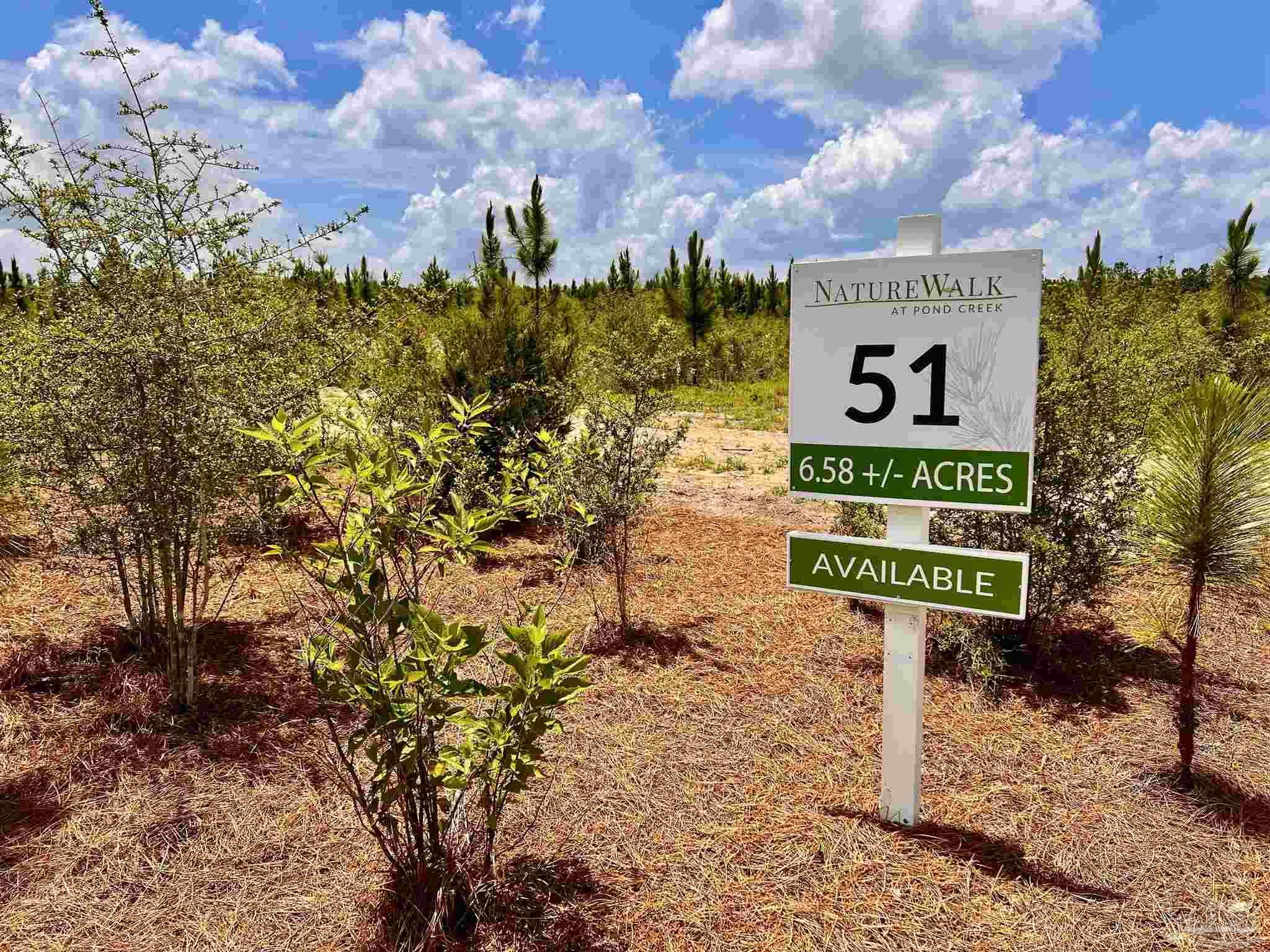 Property Photo: Lot 51 South Timber Ln FL 32571