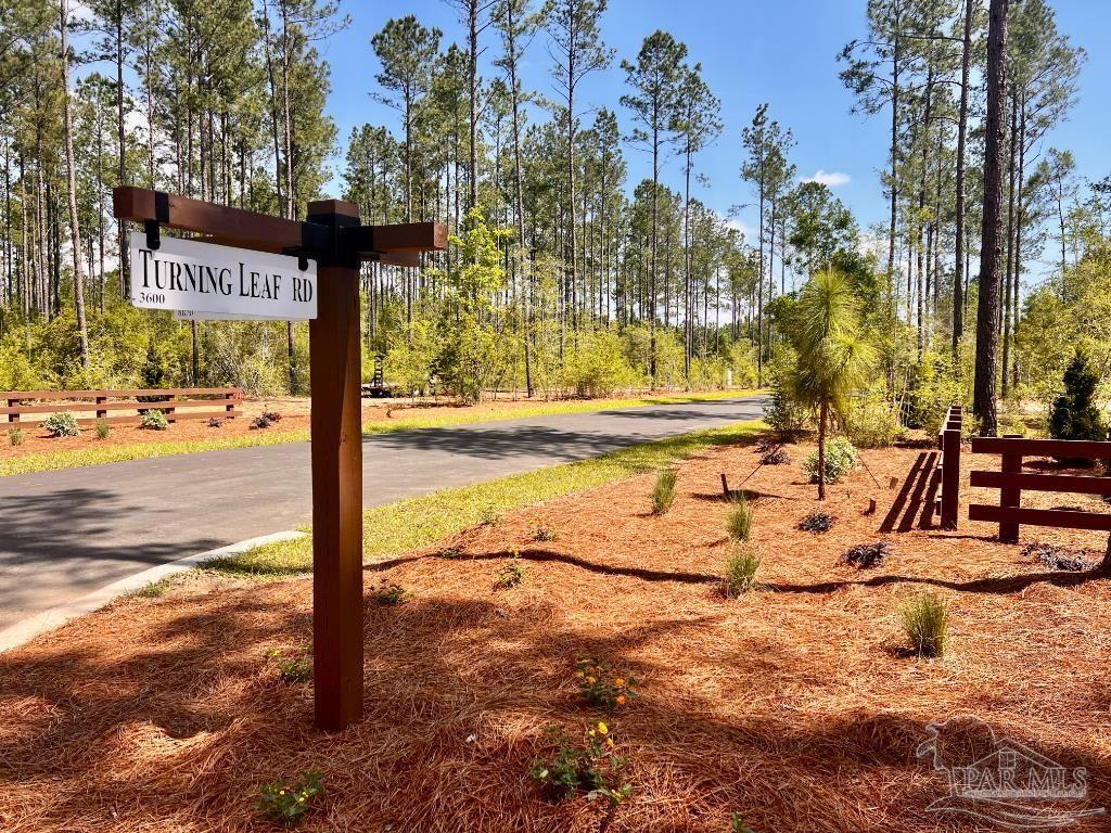 Property Photo:  Lot 98 Turning Leaf Rd  FL 32571 