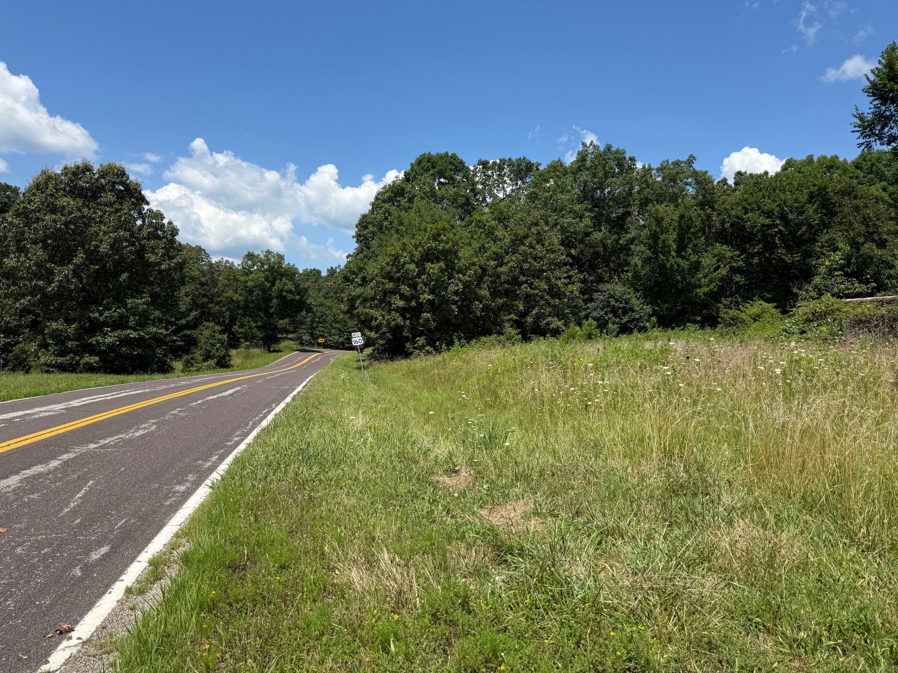 Property Photo: 36245 US 160 MO 63935