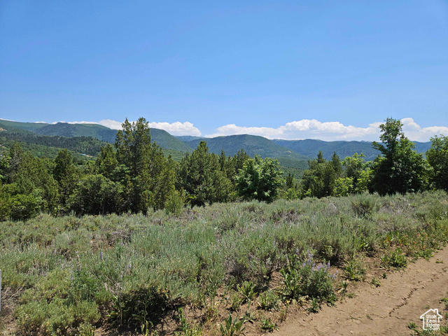 Property Photo: 155 E Wolf Hollow Rd S 155 UT 84629