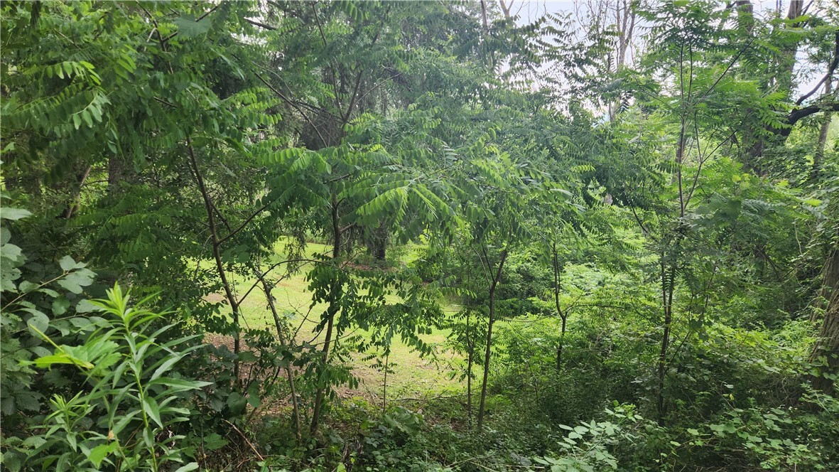 Property Photo: 401 Lower Pace Road NY 14830
