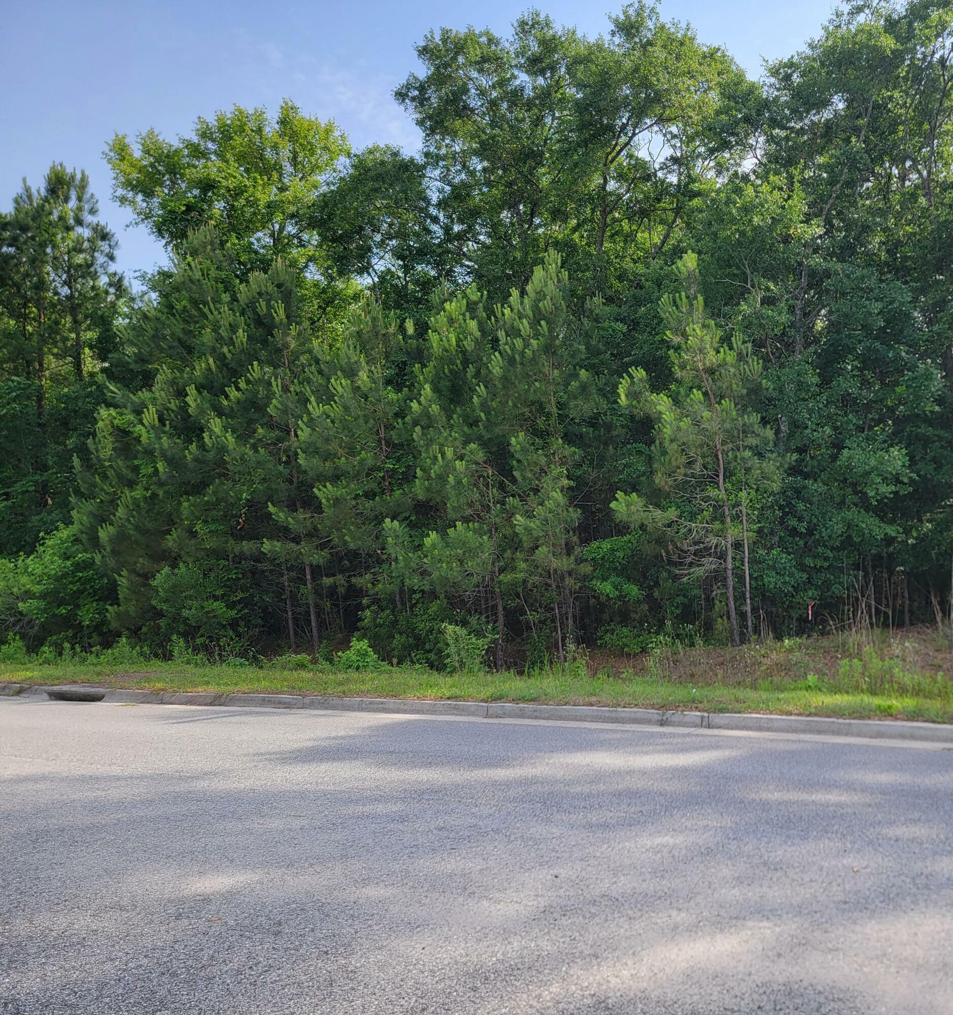 0000 Hamlin Road  Mount Pleasant SC 29466 photo